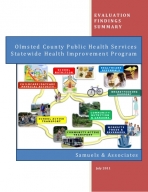 Olmsted County Public Health Services Statewide Health Improvement Program